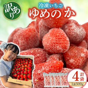 yӂ邳Ɣ[ŁzNB45 󂠂IǒYu߂̂vⓀ500g×4 ꌧ ǒ