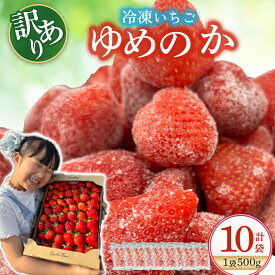 【ふるさと納税】PB14 訳あり！太良町産「ゆめのか」冷凍いちご500g×10袋 佐賀県 太良町