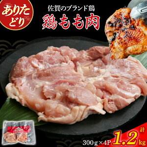 yӂ邳Ɣ[Łz肽ǂi^j@1.2kg Ƃ  { { { uh{ 肽ǂ W[V[  { { g   Ⓚ ^pbN 