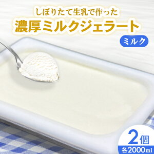 yӂ邳Ɣ[Łzڂ肽ĐōZ~NWF[gi2000ml×2j WF[g V[׃bg ACXN[ ACX  ~N WF[g e N[~[ fU[g Xَq 