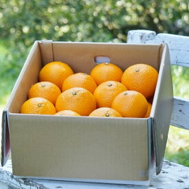 【ふるさと納税】【令和8年2月中旬頃～発送】L-27 早津みかん園のスイートスプリング 3kg みかん ミカン 蜜柑 たらみかん 太良みかん はっさく 八朔 温州みかん 完熟みかん 甘熟 早熟 柑橘 国産 佐賀県産 太良町 こだわり 有機栽培 産地直送 贈答品 詰め合わせ 極甘