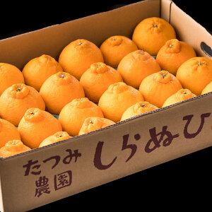 �y�ӂ邳�Ɣ[�Łz�C���_���̏t�҂� �u����ʂЁv ���� 5kg �y2026�N2�����{�`4�����{�����\��z L92x1