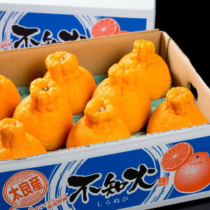 �y�ӂ邳�Ɣ[�Łz���Ǌx�̌b�݂ň�Ă��^���f�R �i�s�m�΁j3kg �y2026�N3����{�`5�����{�����\��z M70x1