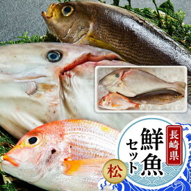 【ふるさと納税】長崎鮮魚セット（松）