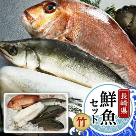 【ふるさと納税】長崎鮮魚セット（竹）