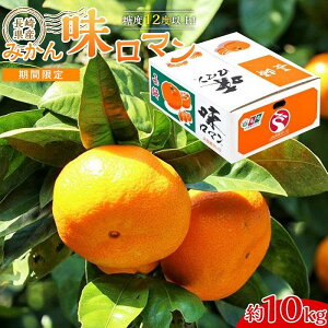 yӂ邳Ɣ[Łzyx12xȏIz茧Y ݂ } 10kg Ԍ^s\񁄁y2025N11{ȍ~z | 10L t[c ʕ st  B  lC 