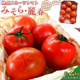 【ふるさと納税】長崎県産 絶品フルーツトマト・みそら・麗春 約2kg（12玉） | 野菜 やさい 食品 人気 おすすめ 送料無料