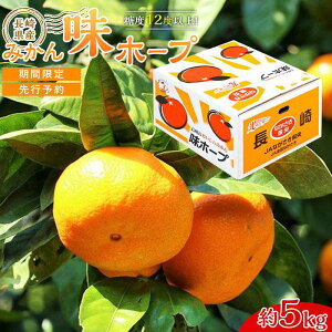 yӂ邳Ɣ[Łzyx12xȏIz茧Y ݂ z[v 5kgԌ^s\񁄁y2025N11{ȍ~z | 5L t[c ʕ st  B  lC 