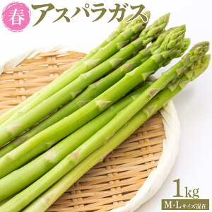 �y�ӂ邳�Ɣ[�Łz�y��s�\��z�t�A�X�p���K�X 1kg M�EL�T�C�Y���� 2026�N1�����{����蔭��