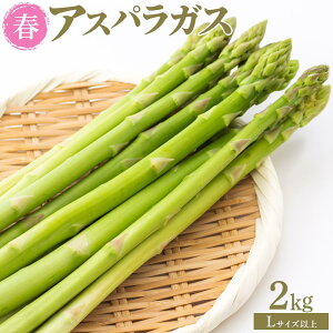 �y�ӂ邳�Ɣ[�Łz�y��s�\��z�t�A�X�p���K�X 2kg L�T�C�Y�ȏ� 2026�N1�����{����蔭��