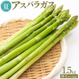 yӂ邳Ɣ[ŁzăAXpKX 1.5kg MELTCY 2025N6菇
