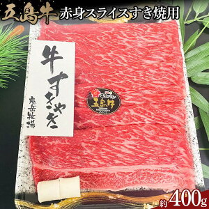 yӂ邳Ɣ[ŁzܓԐgXCXėp400g |   ɂ Hi 茧Y lC   Mtg
