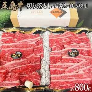 yӂ邳Ɣ[Łzܓ؂藎Ƃ800giāESėpj |   ɂ Hi 茧Y lC   Mtg