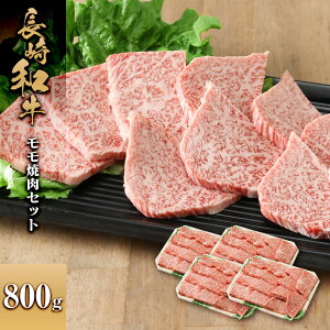 yӂ邳Ɣ[Łza ēZbg800g |   ɂ Hi lC   Mtg