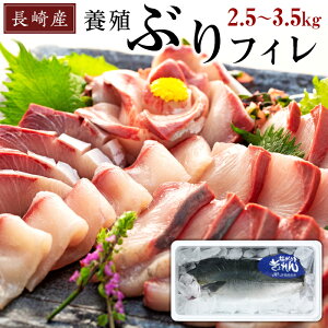 ぶり 5kgの人気商品 通販 価格比較 価格 Com