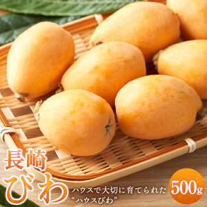 yӂ邳Ɣ[Łzys\ 2026N3{菇znEXт 500g |  т 茧 B st ʌ 500g  ʕ t[c  lC 