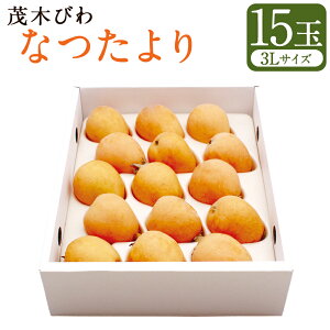 yӂ邳Ɣ[Łzs\ Ζ тwȂx 3LTCY 15ʓ | t[c ʕ  f At^[ۏ y2026N5{`6{\z