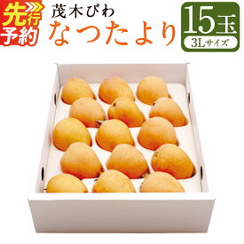 【ふるさと納税】先行予約 茂木 びわ『なつたより』 3Lサイズ 15玉入り | フルーツ 果物 くだもの 枇杷 アフター保証 送料無料【2027年5月下旬-6月上旬発送予定