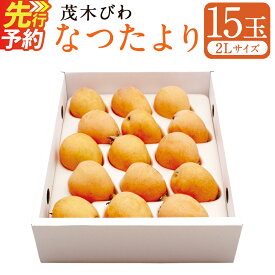 【ふるさと納税】先行受付 茂木 びわ『なつたより』2Lサイズ 15玉入り | 1キロ箱 1kg 枇杷 ビワ 果物 果実 フルーツ 長崎県産 アフター保証 九州 長崎県 長崎市 送料無料【2027年5月下旬-6月上旬発送予定】