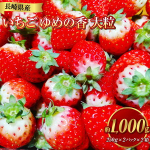 �y�ӂ邳�Ɣ[�Łz���茧�Y������ ��߂̍� �嗱 ��1kg�i250g×2�p�b�N��×2��) | �t���[�c �ʎ� �C�`�S ������ � ���Y ����s �A�t�^�[�ۏ� �y2025�N11�����{-2026�N3�����{�������\��z