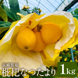 【ふるさと納税】先行予約！枇杷「なつたより」 1kg | アフター保証 びわ ビワ フルーツ くだもの 果物 果実 ギフト プレゼント 贈り物 贈答 長崎県産 国産 九州 長崎県 長崎市 送料無料 【2026年5月上旬～下旬迄発送予定】