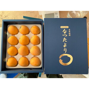 yӂ邳Ɣ[Łzs\JnIfuȂv 1kg | т r t[c  ʕ ʎ Mtg v[g 蕨  茧Y Y B 茧 s  y2026N5{