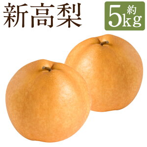 yӂ邳Ɣ[ŁzV 5kg 6`8  Ȃ a ʕ t[c sY 茧Y BY  y2025N9{`10{ɏ\z