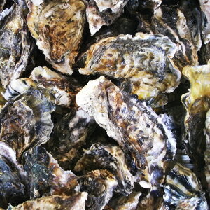 yӂ邳Ɣ[Łz茧Y 呺pktyZbg2.5kg lgiR yiCt1{ tj  JL y L kt Ăy Zbg CN O Y Zbg 茧  y2