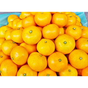 �y�ӂ邳�Ɣ[�Łz���B�݂���u���������v 3S~S�T�C�Y 5kg ���݂��� �~�J�� ���� �t���[�c �������� �ʕ� �ʎ� ���k�� �� ���茧�Y ���Y ��B ���茧 ����s �������� �y2025�N11�����{�`2026�N1