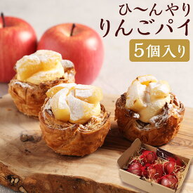 【ふるさと納税】ひ～んやりりんごパイ 5個 | アップルパイ 林檎 りんご スイーツ 朝食 リンゴ フルーツ パイ カスタード ラムレーズン 長崎 国産 九州 冷凍 長崎県 長崎市 送料無料