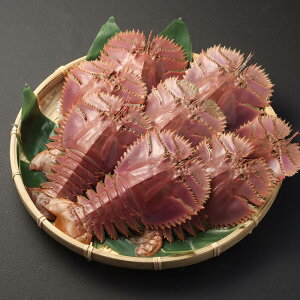 �y�ӂ邳�Ɣ[�Łz���{�B��u�Ȑ���т��ԋ��v�̊��E�`���G�r 1kg ������C�V ���� �C�V �C�N ���Y�� ����� �① ���茧 ����s �������� �y2026�N1����{�`3�����{�ȍ~�����\��z