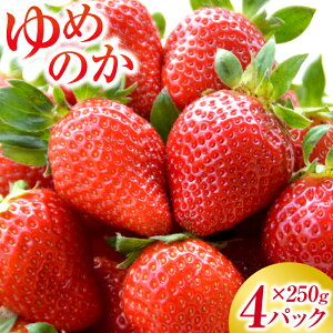 �y�ӂ邳�Ɣ[�Łz����Y ��߂̂� �C�`�S�i��250g×4�p�b�N�j�v1kg ������ � �ʕ� �������� �t���[�c 1�L�� ���Y ��B ���茧 ����s ���������y2026�N1����{�`2�����{�����\��z