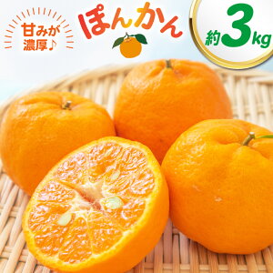 �y�ӂ邳�Ɣ[�Łz��s�\�� �|���J�� ��3kg�i3L�`M�j�ۂ񂩂� ���k �ʕ� �������� �t���[�c 3�L�� ���Y ��B ���茧 ����s ���������y2026�N2����{�`3�����{�����\��z