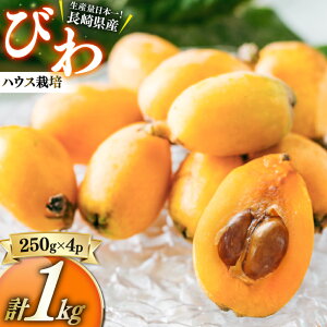 �y�ӂ邳�Ɣ[�Łz��s�\�� �����n�E�X�͔| �т� ��250g×4�p�b�N�i2L�`M�j�v��1kg �r�� ���f �ʕ� �������� �t���[�c �n�E�X�͔| 1�L�� ���Y ��B ���茧 ����s ���������y2026�N4����{�`5����