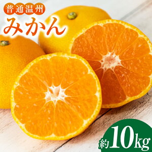 �y�ӂ邳�Ɣ[�Łz���B�݂��� ��10kg�i2L�`S�j�݂��� �~�J�� ���� ���k �ʕ� �������� �t���[�c 10�L�� ���Y ��B ���茧 ����s ���������y2025�N12����{�`2026�N1�����{�����\��z