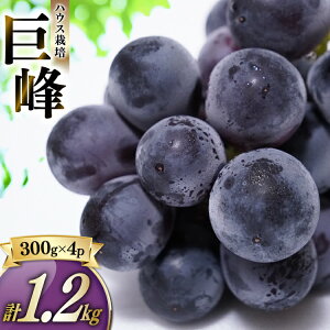 �y�ӂ邳�Ɣ[�Łz�n�E�X���� ��1.2kg�i��300g×4�p�b�N�j���� �Ԃǂ� �u�h�E ���� �ʕ� �������� �t���[�c 1.2�L�� ���Y ��B ���茧 ����s ���������y2026�N7�����{�`9����{�����\��z