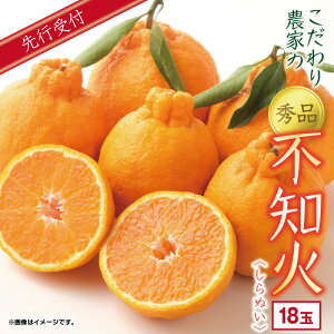 yӂ邳Ɣ[Łz _Ƃ Gi sm 18  ݂ ~J ʕ t[c Mtg 蕨 v[g k  茧 s  Z Â k  Y  y20