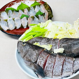 【ふるさと納税】長崎の森で育てた『幻のクエ』セット 昆布〆刺身用5～6人前・鍋用5～6人前 1kg～2kg前後×2 頭・骨付き くえ 高級魚 海鮮 海産物 魚介類 冷蔵 長崎県 長崎市 送料無料