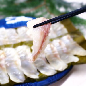 yӂ邳Ɣ[Łz̐XňĂw̃NGxzY hgp 5`6lO 1kg`2kgO Et    CY ① 茧 s 