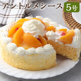 【ふるさと納税】【長崎レトロスイーツ】アントルメシース 5号 生クリーム シースクリーム カスタードクリーム 黄桃 もも モモ パイナップル フルーツ くだもの 果物 ホールケーキ スイーツ 洋菓子 冷凍 お菓子 長崎県 長崎市 送料無料