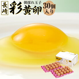 【ふるさと納税】「長崎彩黄卵」 朝採れ玉子 30個入り×1箱 鶏卵 採れたて 新鮮卵 たまご タマゴ 冷蔵 長崎県 長崎市 送料無料