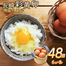 【ふるさと納税】「長崎彩黄卵」 朝採れ玉子 6個入り8パックセット 卵 たまご たまごかけごはん TKG 新鮮 とれたて 朝採れ 純国産鶏 卵セット たまご パック 生卵 送料無料