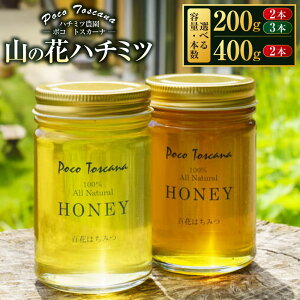 【ふるさと納税】 山の花 ハチミツ 選べる容量 ( 200g瓶×2本 / 200g瓶×3本 / 400g瓶×2本 ) | 蜂蜜 はちみつ ハニー 蜜 天然 非加熱ハチミツ 美容 健康 国産 九州 長崎県 長崎市 常温 送料無料