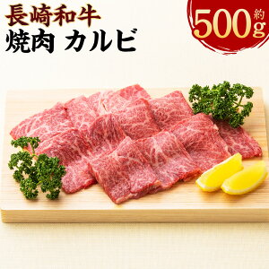 yӂ邳Ɣ[Łza ē Jr 500gi2~3lOj a   BBQ o[xL[ Mtg   Ε Ⓚ 茧Y Y B 茧 s  yVX[p[SALE 9J