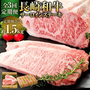 yӂ邳Ɣ[ŁzyS3ցzaT[CXe[L 250g×2 v1.5kg Xe[L Xe[L T[C    a  s yVX[p[SALE 9J