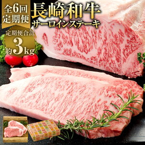 yӂ邳Ɣ[ŁzyS6ցzaT[CXe[L v500gi250g×2j Xe[L\[X×2 a   Mtg  Ⓚ 茧Y Y B 茧 s  yVX[