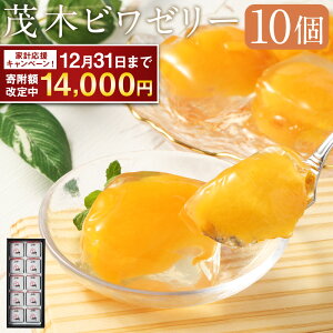 yӂ邳Ɣ[ŁzyԌI`1231܂Ŋ񕍊z蒆z14cƓȓI Ζ؃r[[ 10 | т r f [[ [ XC[c fU[g nXC[c t[c[[ 