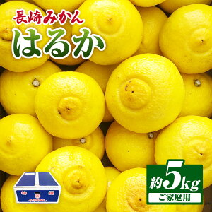 �y�ӂ邳�Ɣ[�Łz�͂邩 ��5kg �t���[�c �ʕ� �������� �݂��� �~�J�� ���� �n���J ���k ����s �y2026�N2����{�`3�����{�����\��z