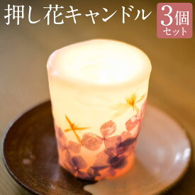 【ふるさと納税】押し花キャンドル 3個 ろうそく ロウソク キャンドル 野の花 フラワー お仏壇 インテリア 長崎県 長崎市 送料無料