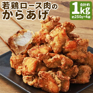 yӂ邳Ɣ[ŁzyWŊȒPz󏭕 Y̎{[X̂炠 1kg 250g×4 g 炠 { [X  y  Ⓚ  yVX[p[SALE 9J